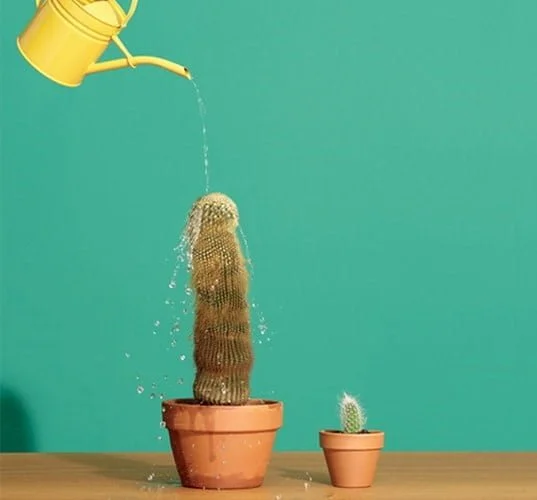 Penisvergrößerung in der Türkei